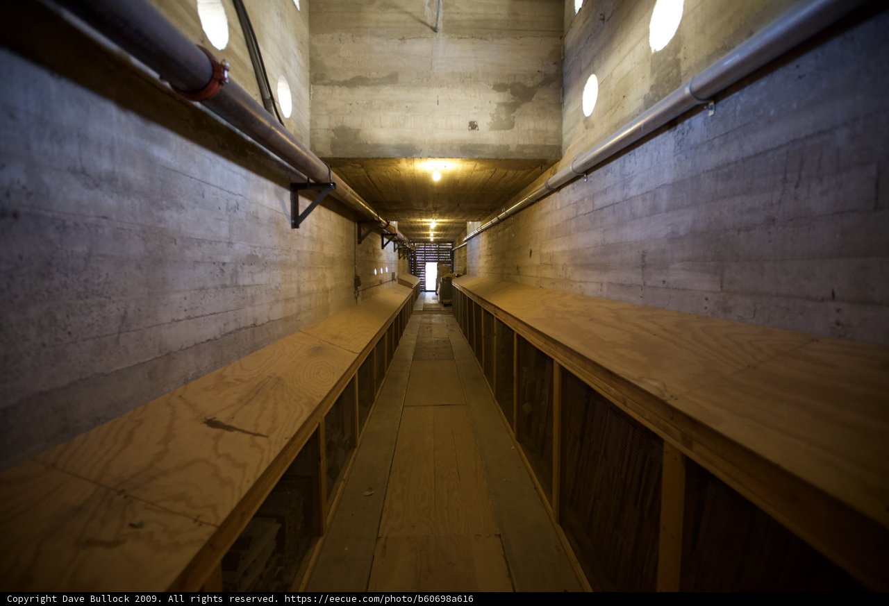 Wooden Tunnel of Death Valley
