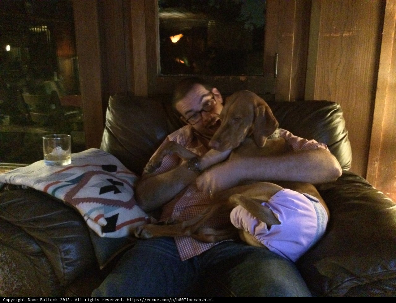 A Man and His Best Friend