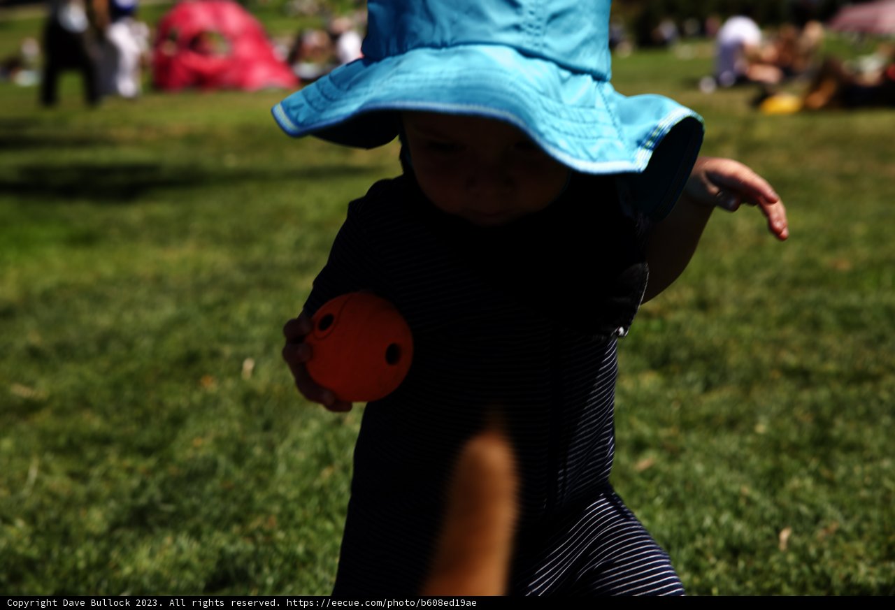 Sun-Kissed Moments - Summer of 2023 at Delores Park