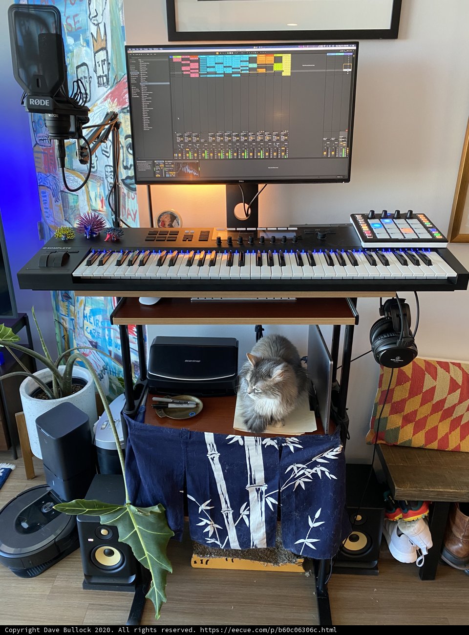 Feline DJ