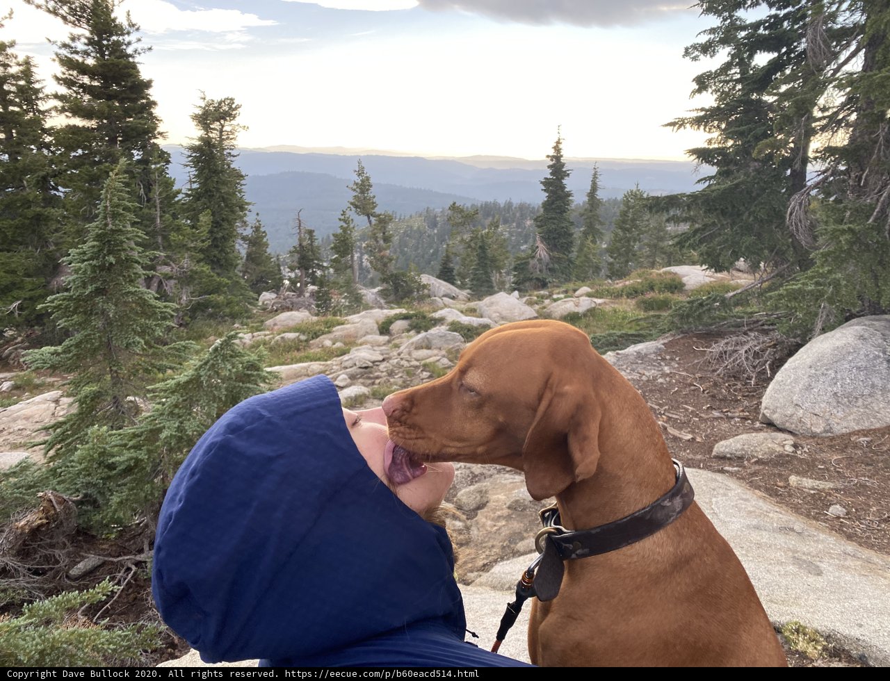 A Loving Moment between Person and Canine in the Desolation Wilderness