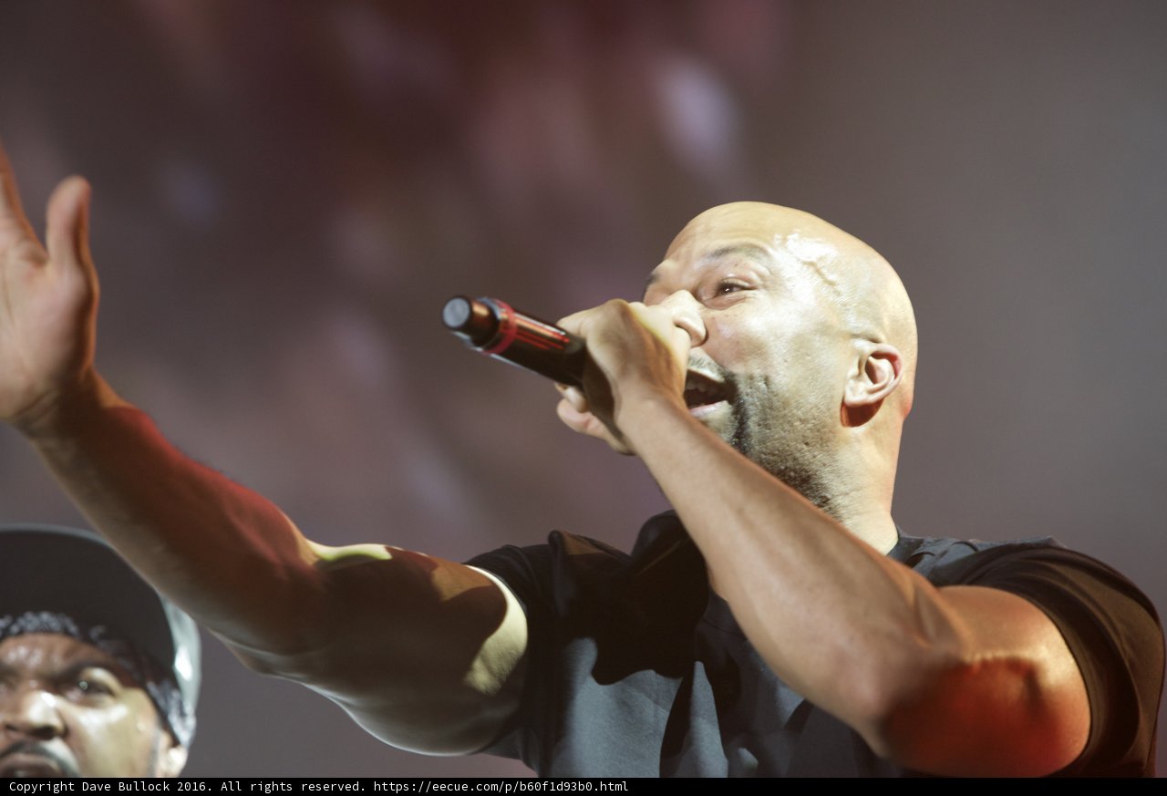 The Bald and the Bold