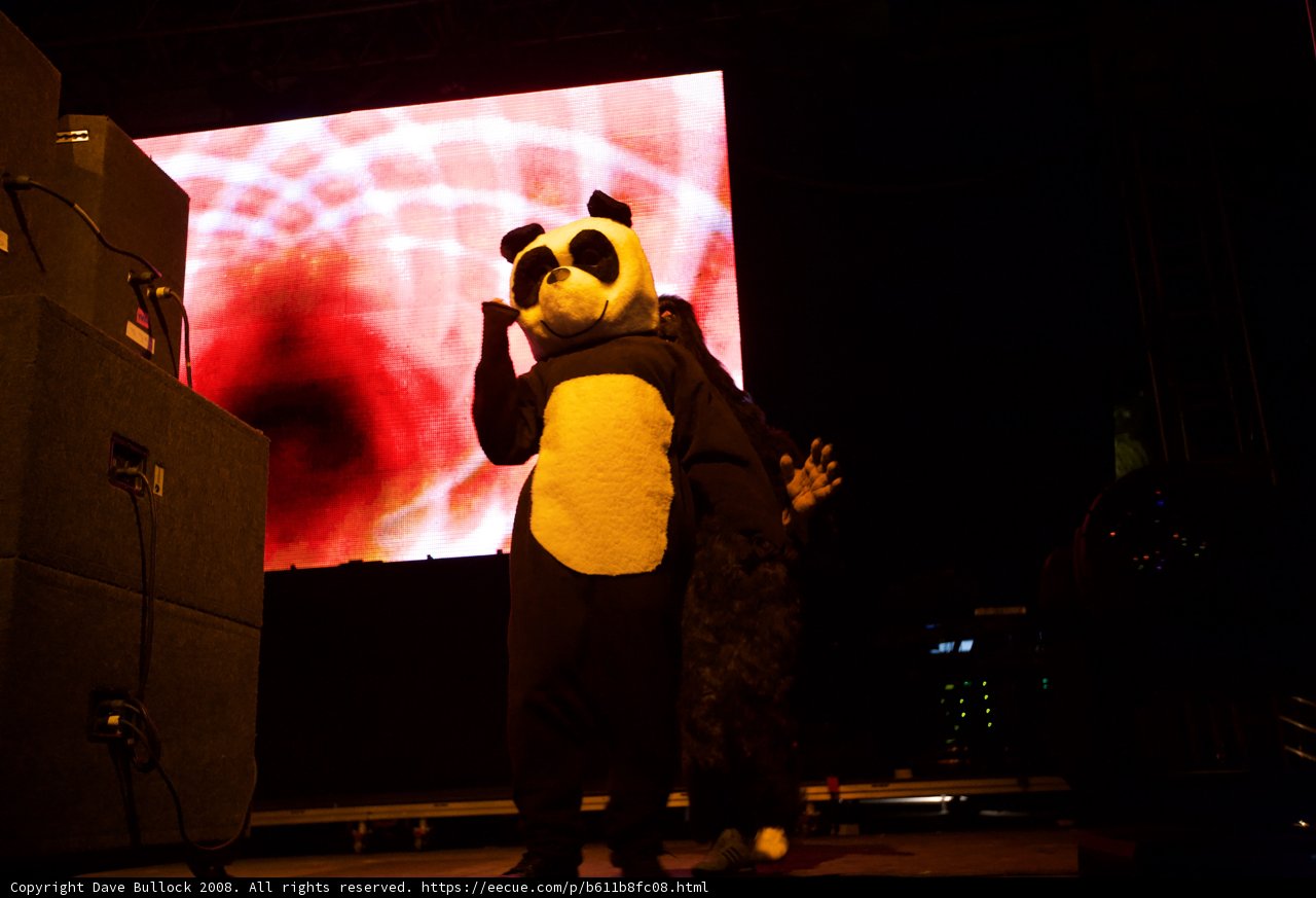 Panda Puts on a Show