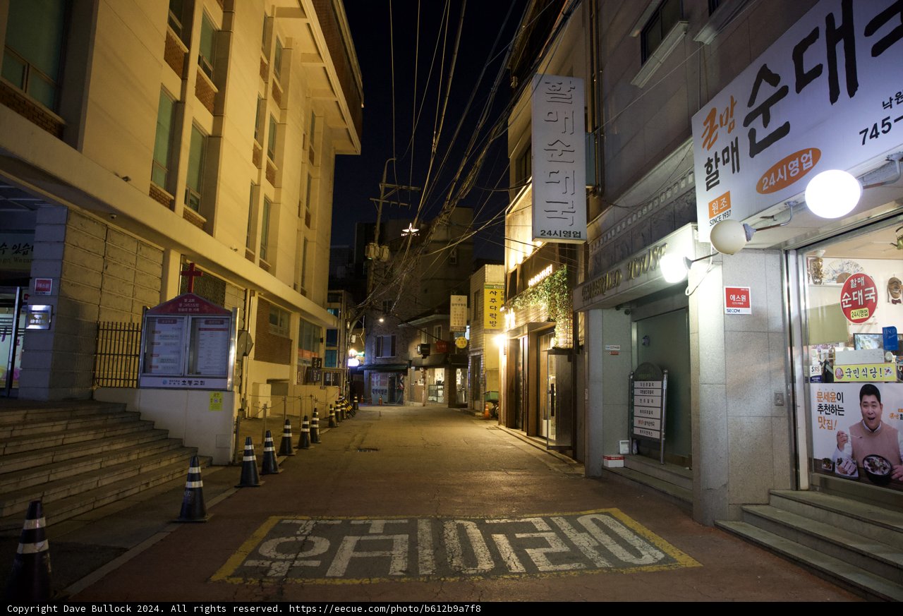 Moonlit Path in Korea, 2024