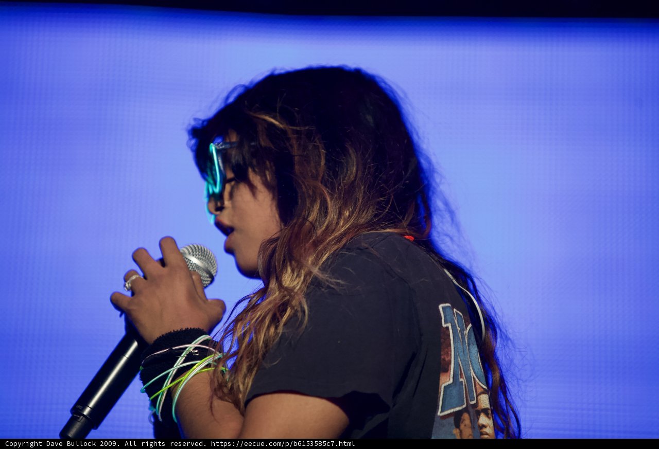 Coachella 2009: The Girl with the Mic