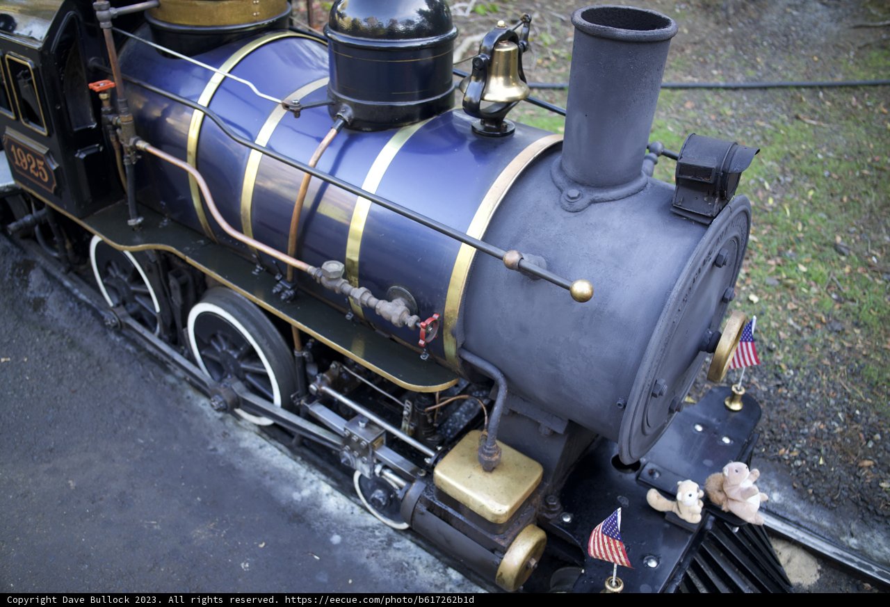Canine Conductor on Vintage Train Engine