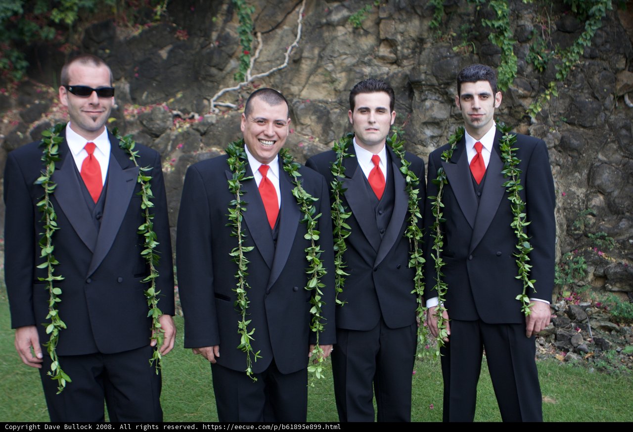 The Four Suited Gentlemen Caption: Dustin, Aaron, and Mark make a dapper group on the Hawaiian grasslands in their formal wear, complete with flower arrangements and matching red ties.