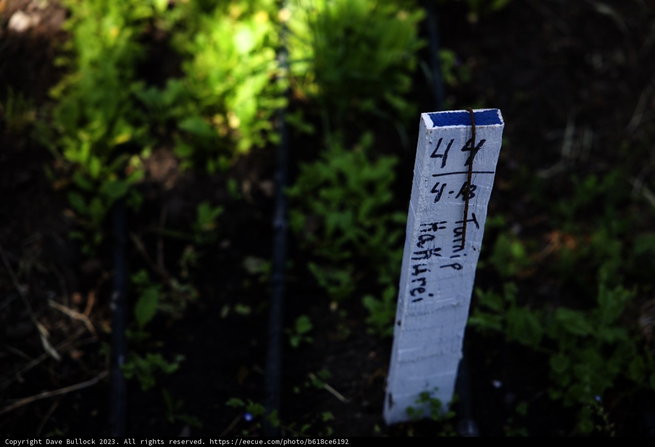 Garden Sign Amidst Vibrant Herbs