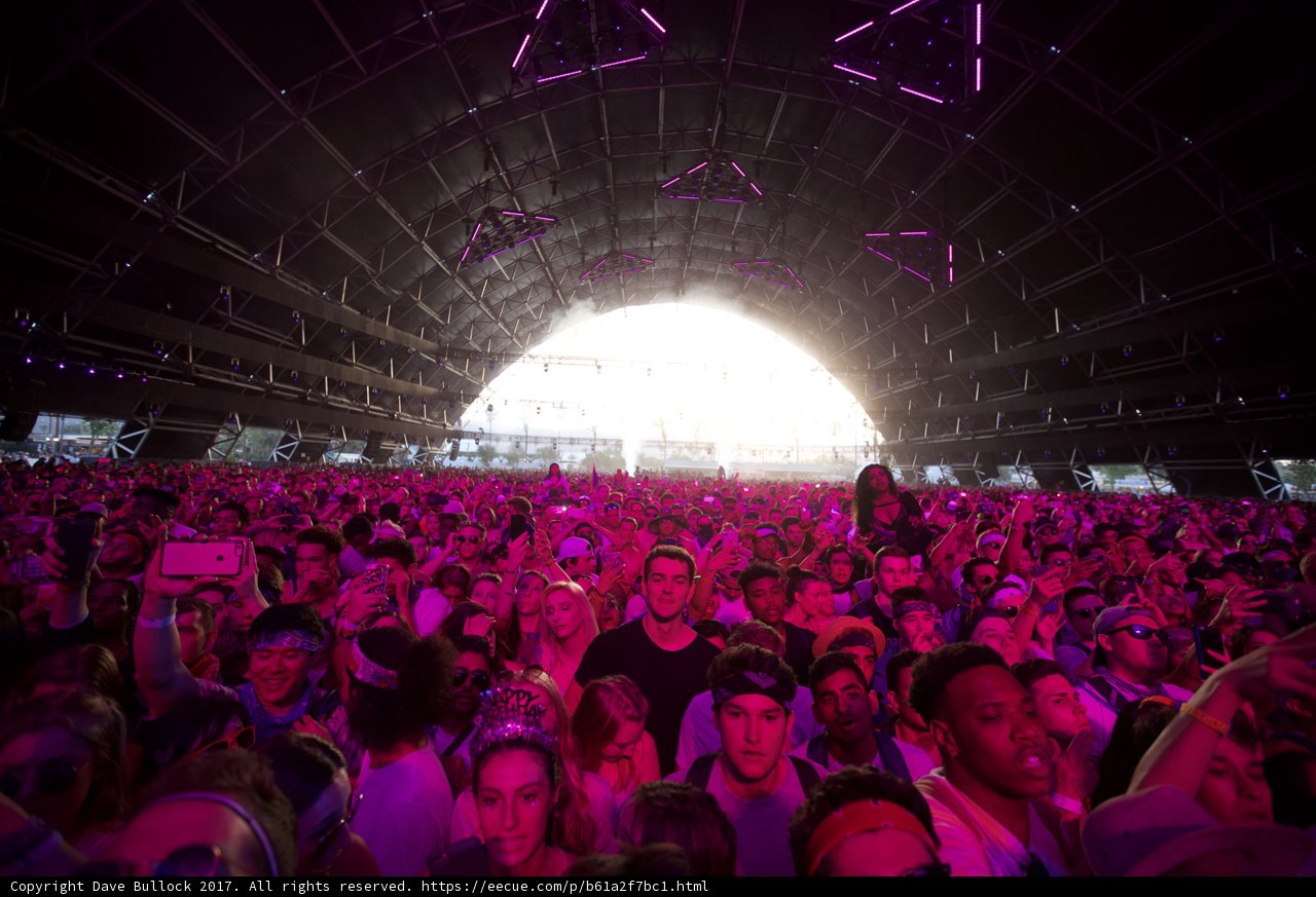 Sun-kissed Crowd at Coachella
