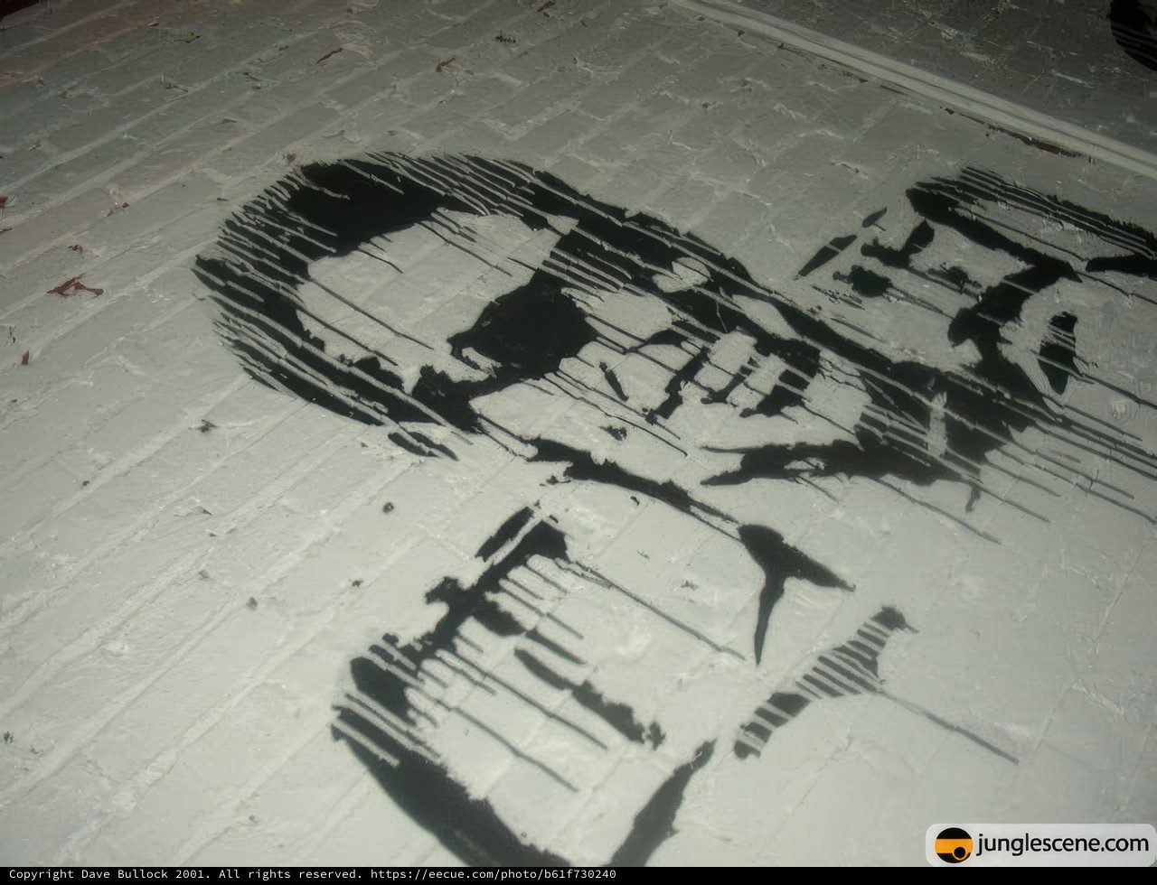 Shades and Spray Paint