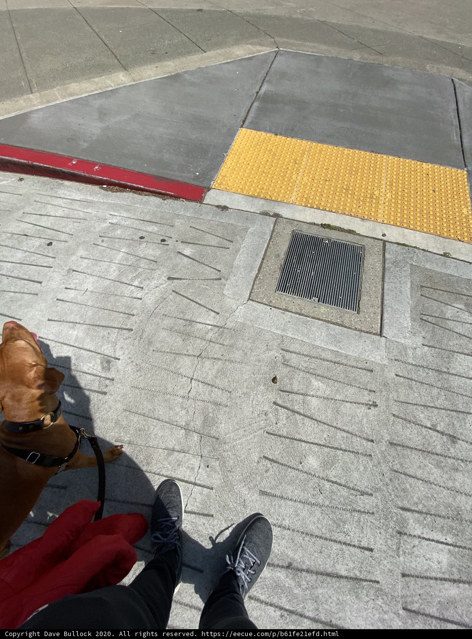 Street Pals