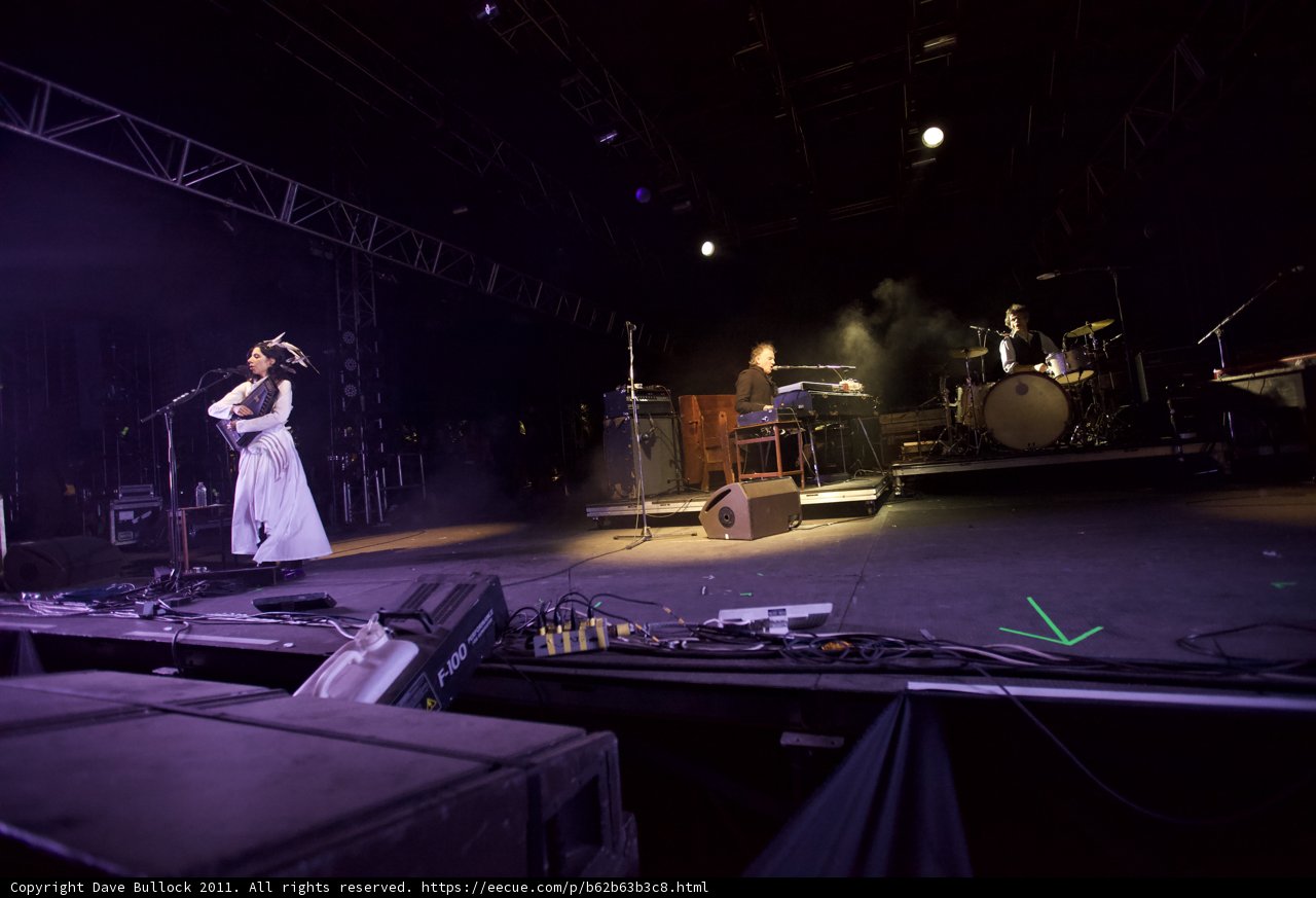 Spotlight on PJ Harvey's Concert Performance