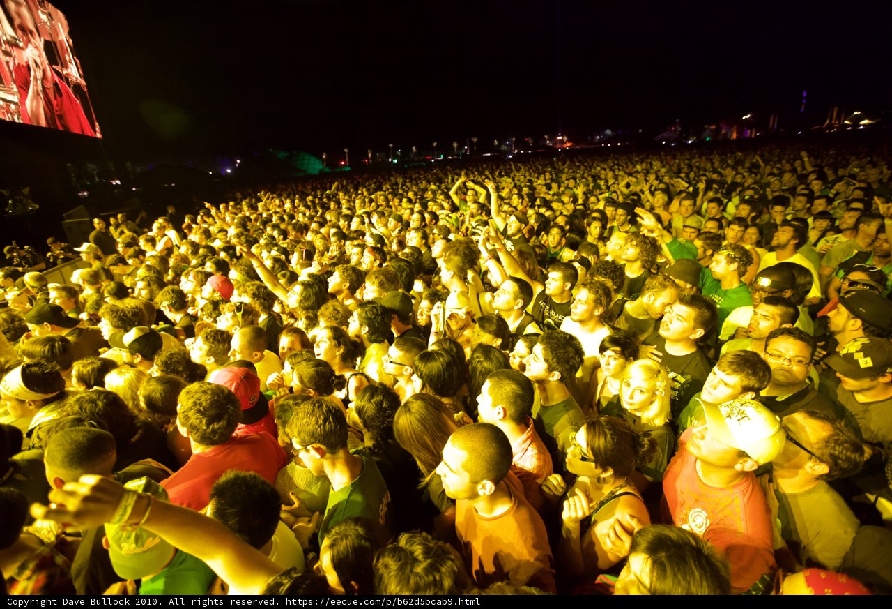 The Euphoric Crowd