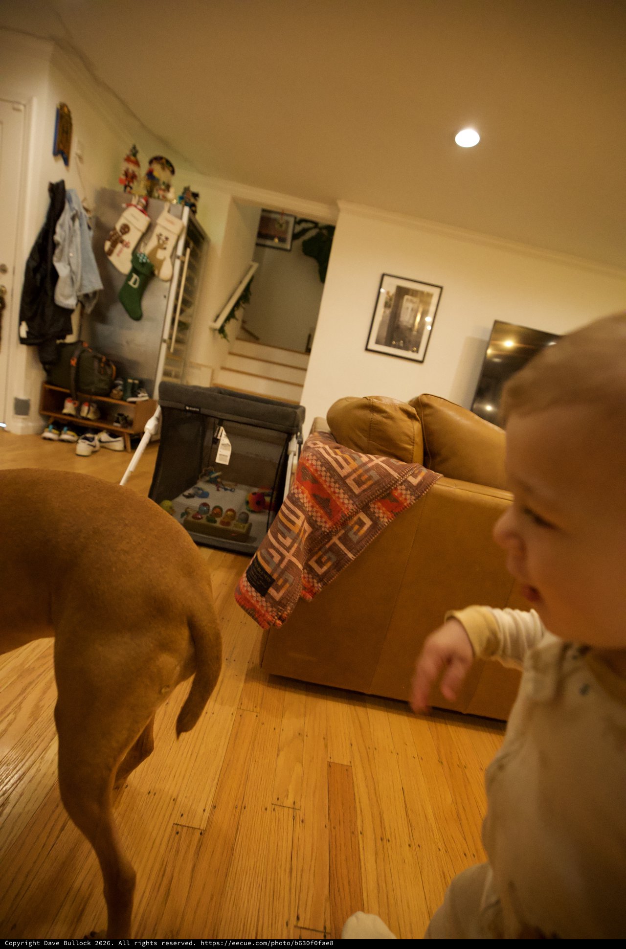 Young Child Playing in Cozy Living Room