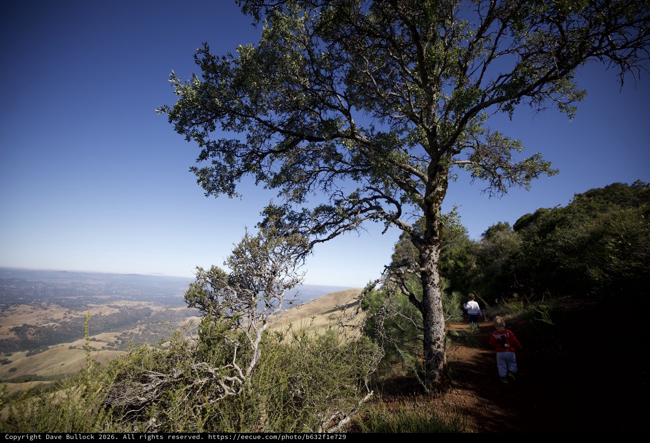 Hikers on Sunlit Trail at Mount Diablo Summit