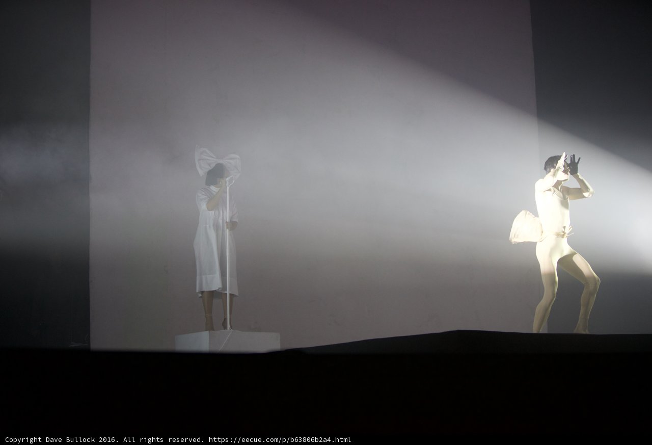 The Spotlight
