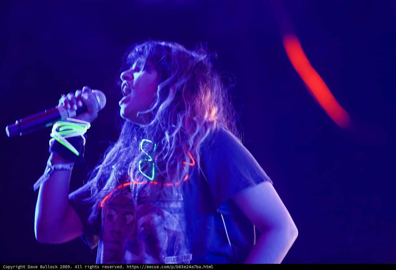 Rocking the Crowd at Coachella 2009