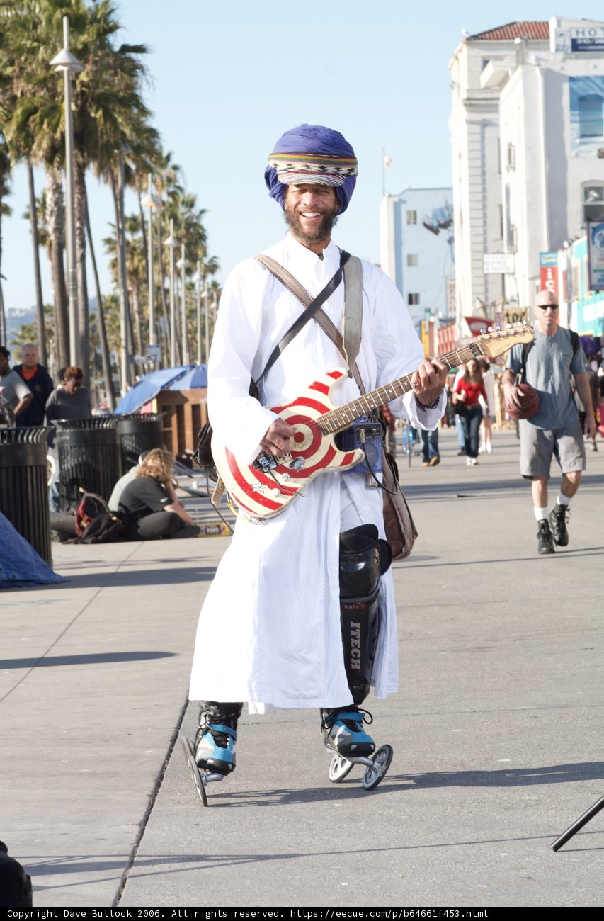 The Musical Traveler