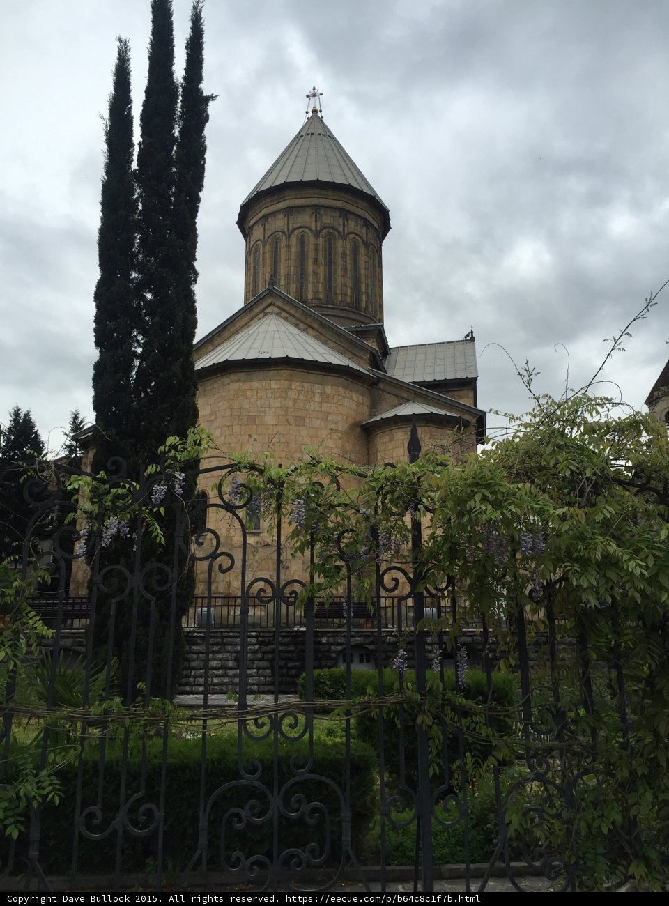 Sioni Cathedral Through Wisteria