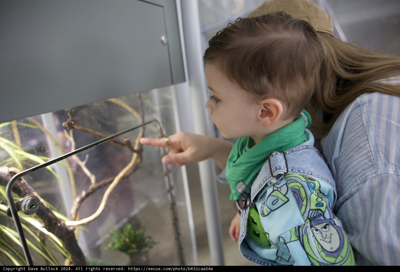 Exploring the Natural Realm at the California Academy of Sciences