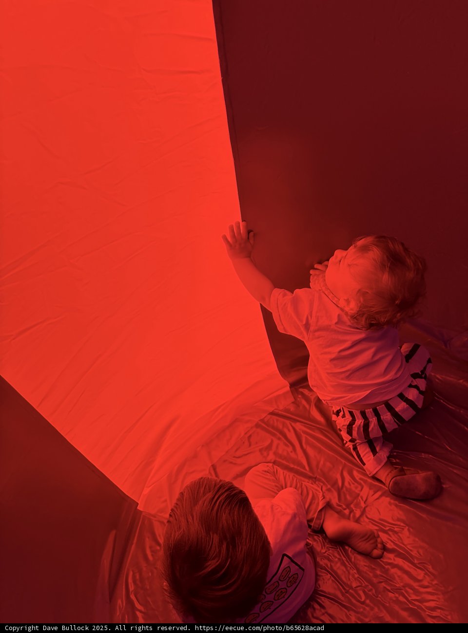 Radiant Red and Tiny Discoveries