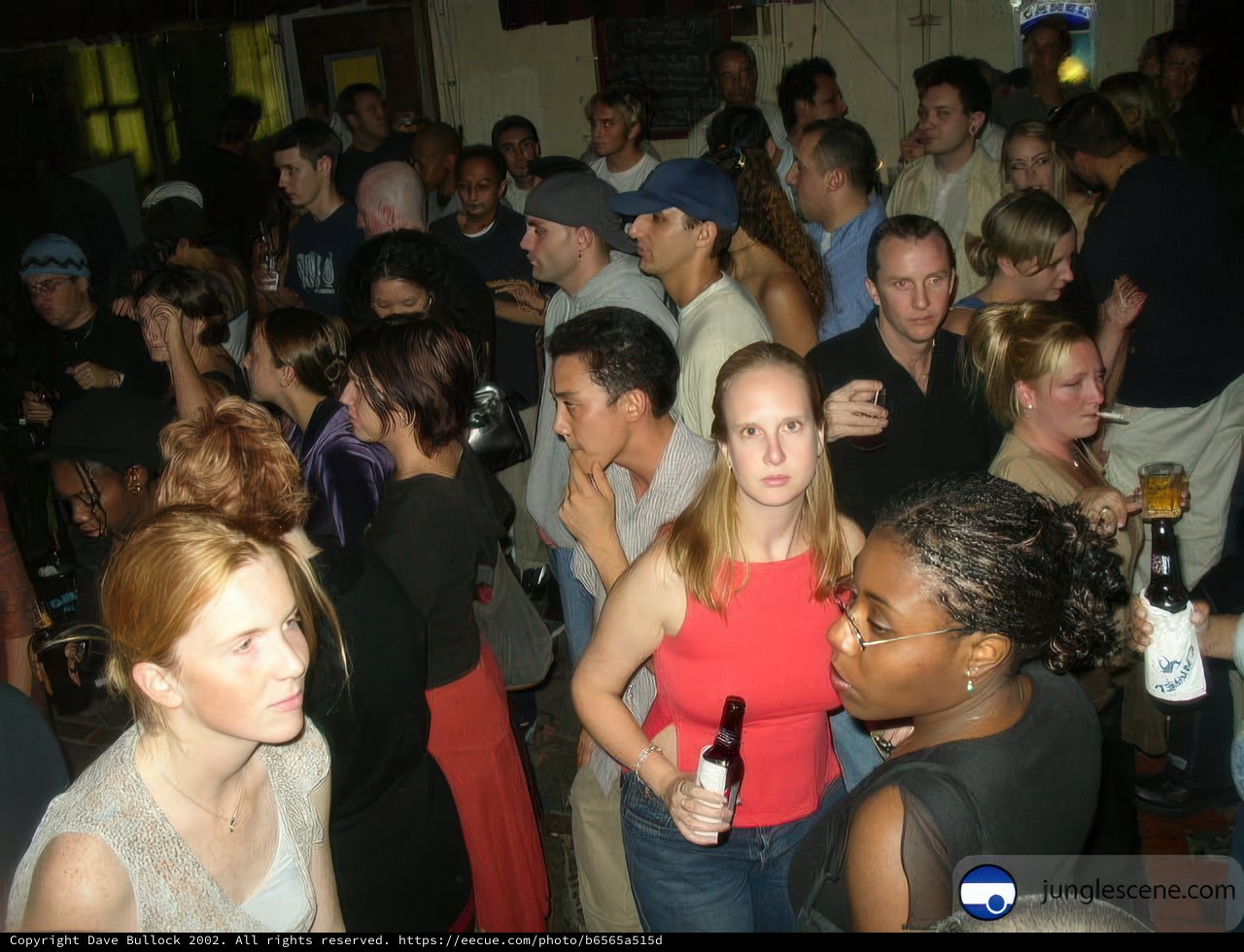 Nightlife Fun at the Bar