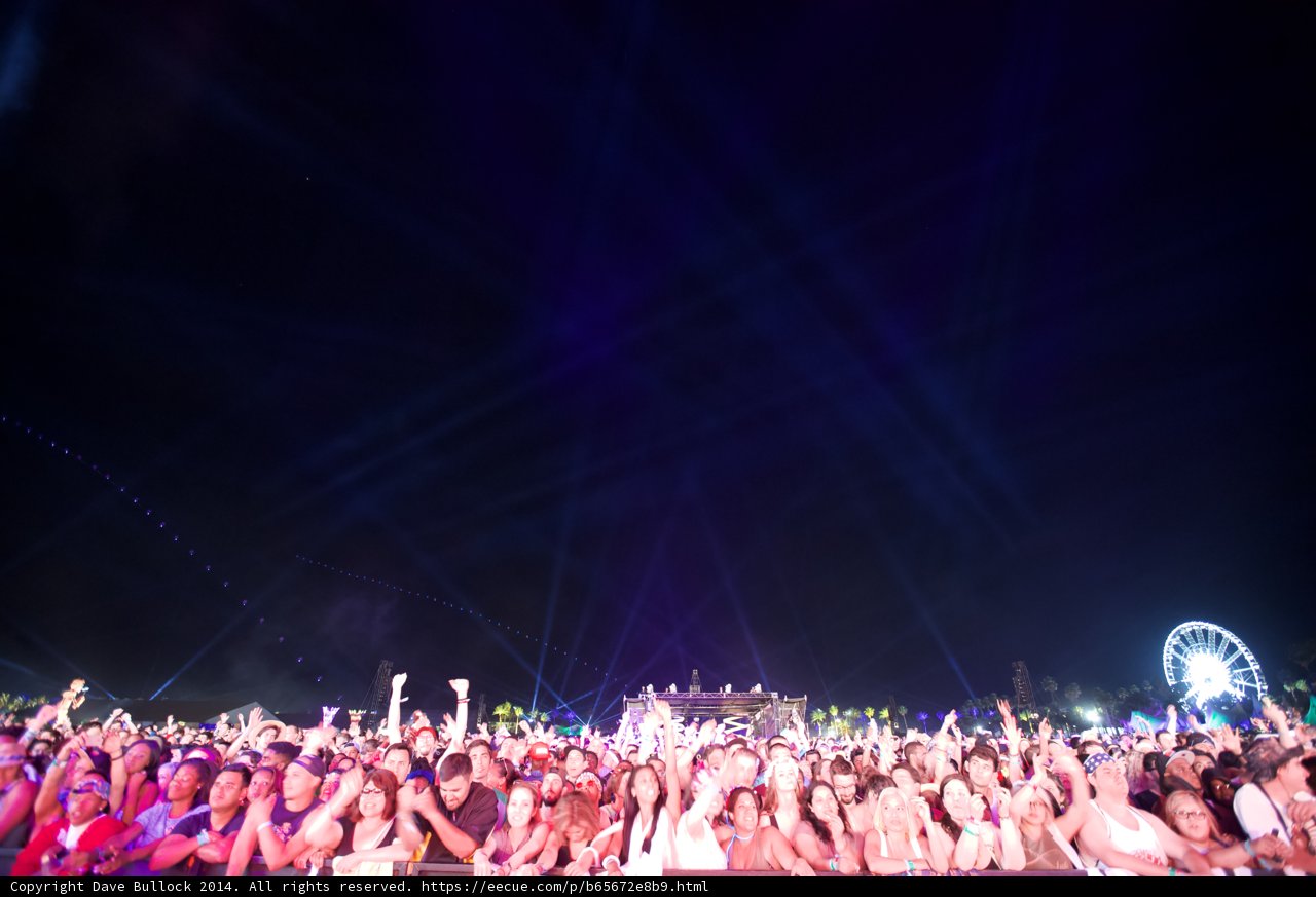 The Electric Crowd at Coachella