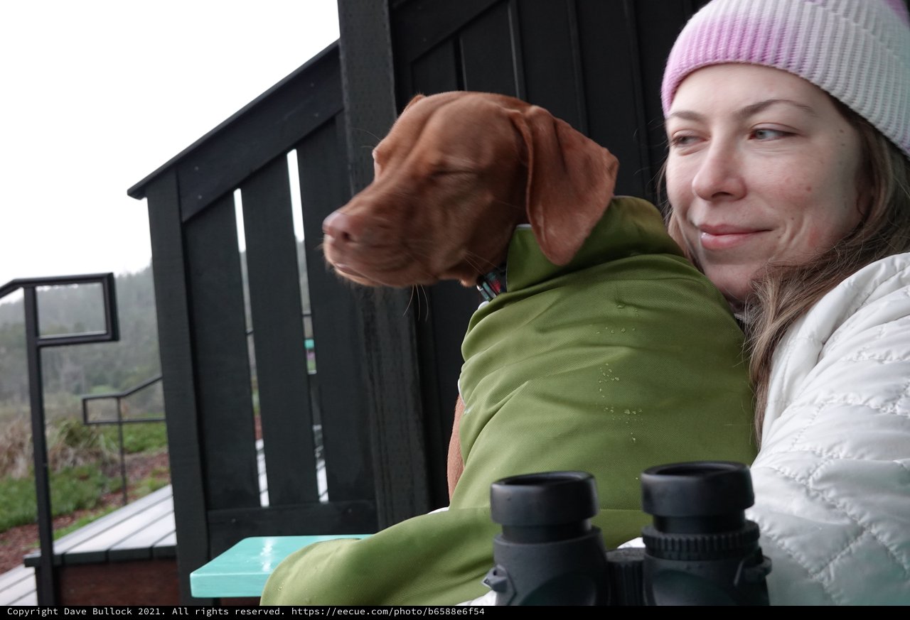 Woman and Dog Share Quiet Winter Morning