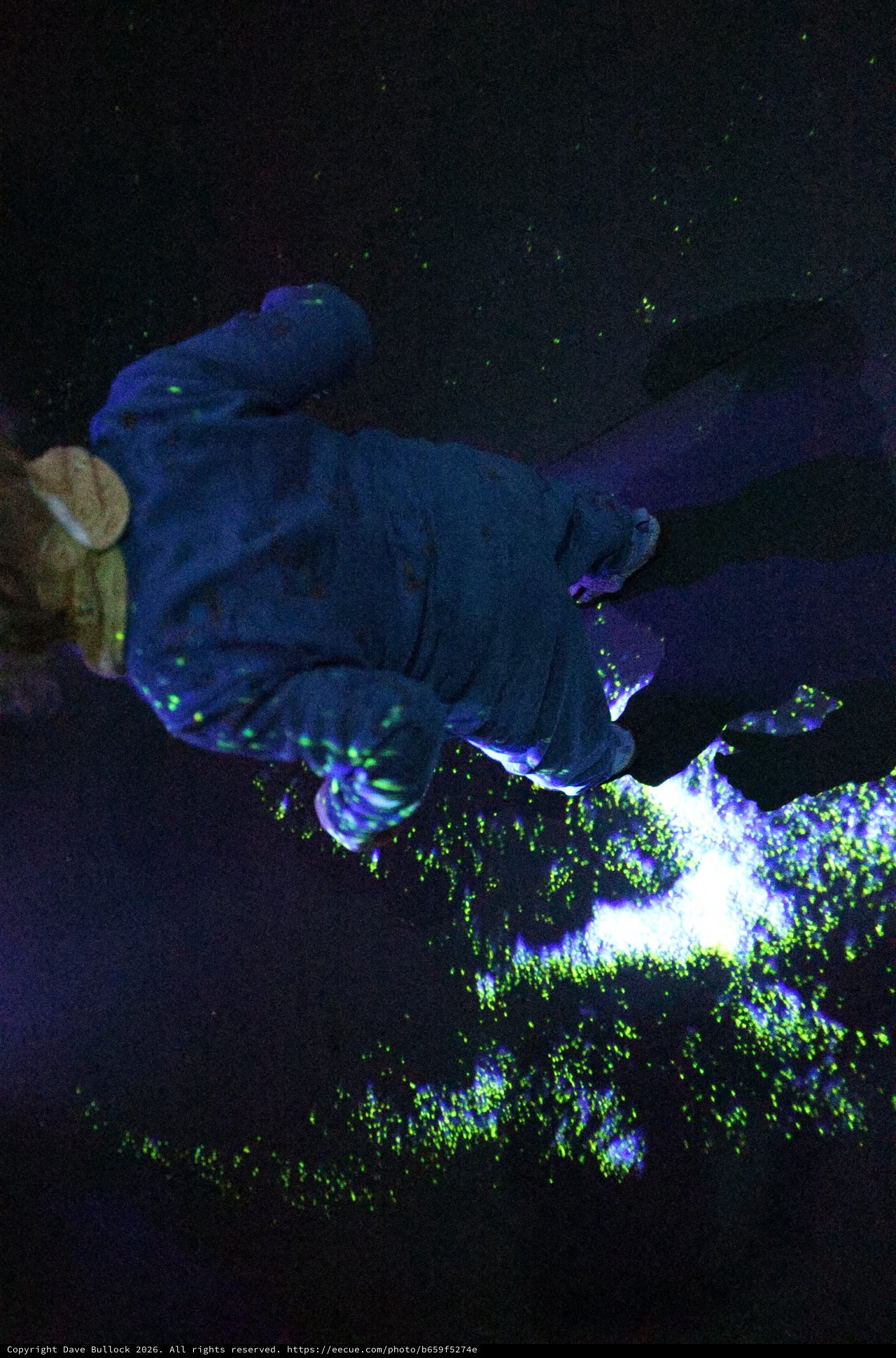 Bioluminescent Coral and Sleeping Sea Turtle Under UV Light