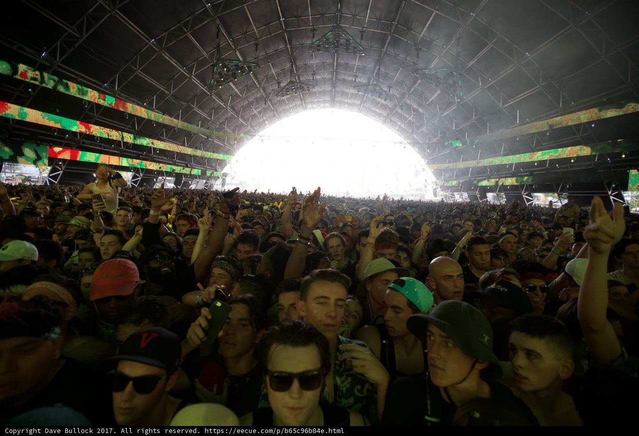 Coachella Music Festival Crowd