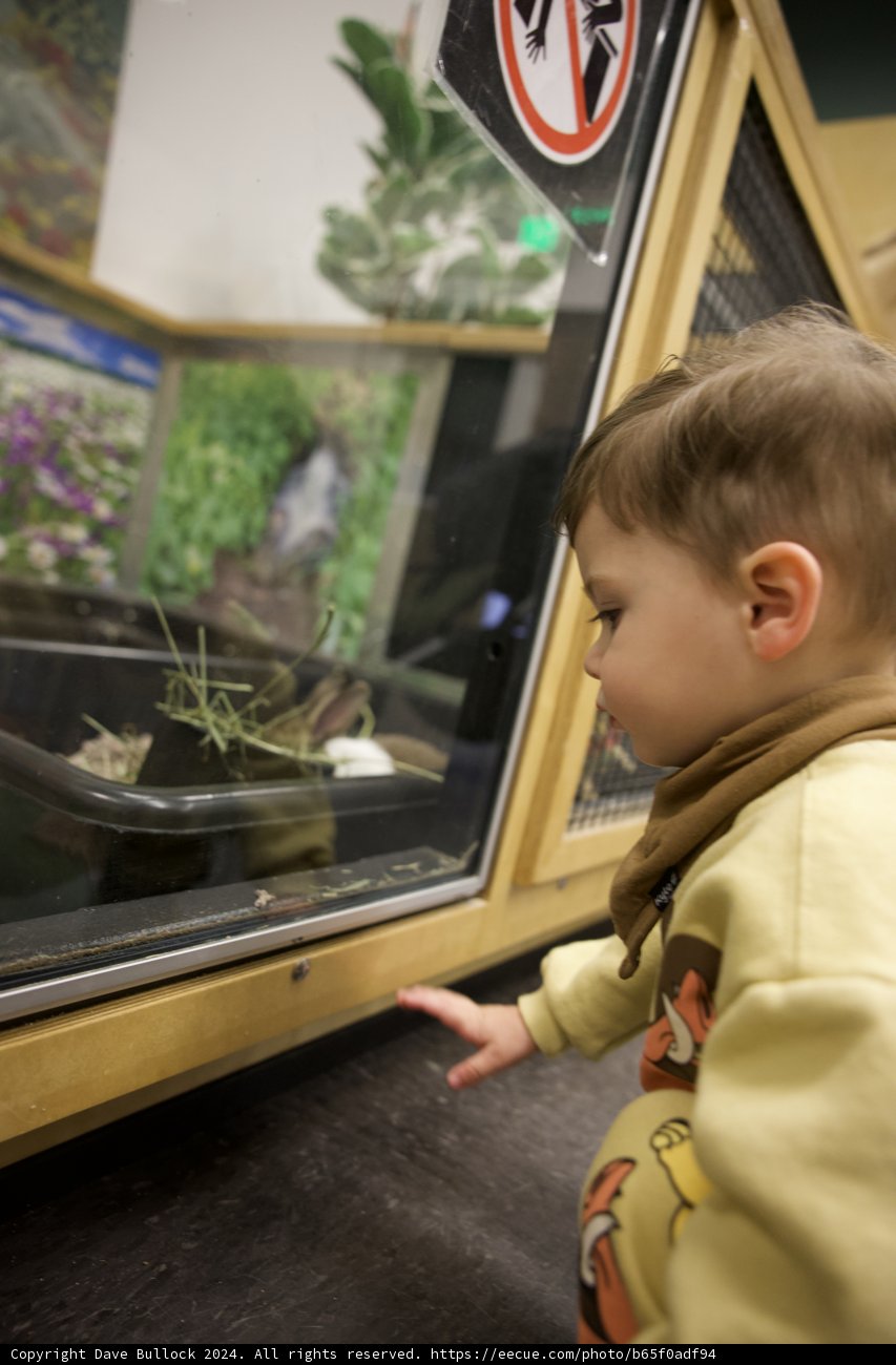 Captured Curiosity at the Lawrence Hall of Science