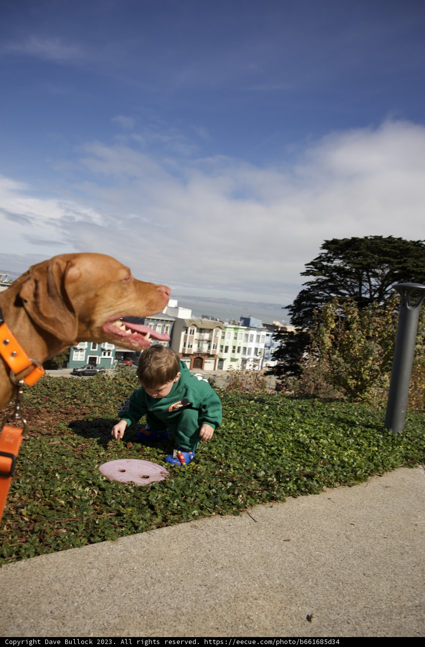 A Special Bond: Wesley and His Furry Friend
