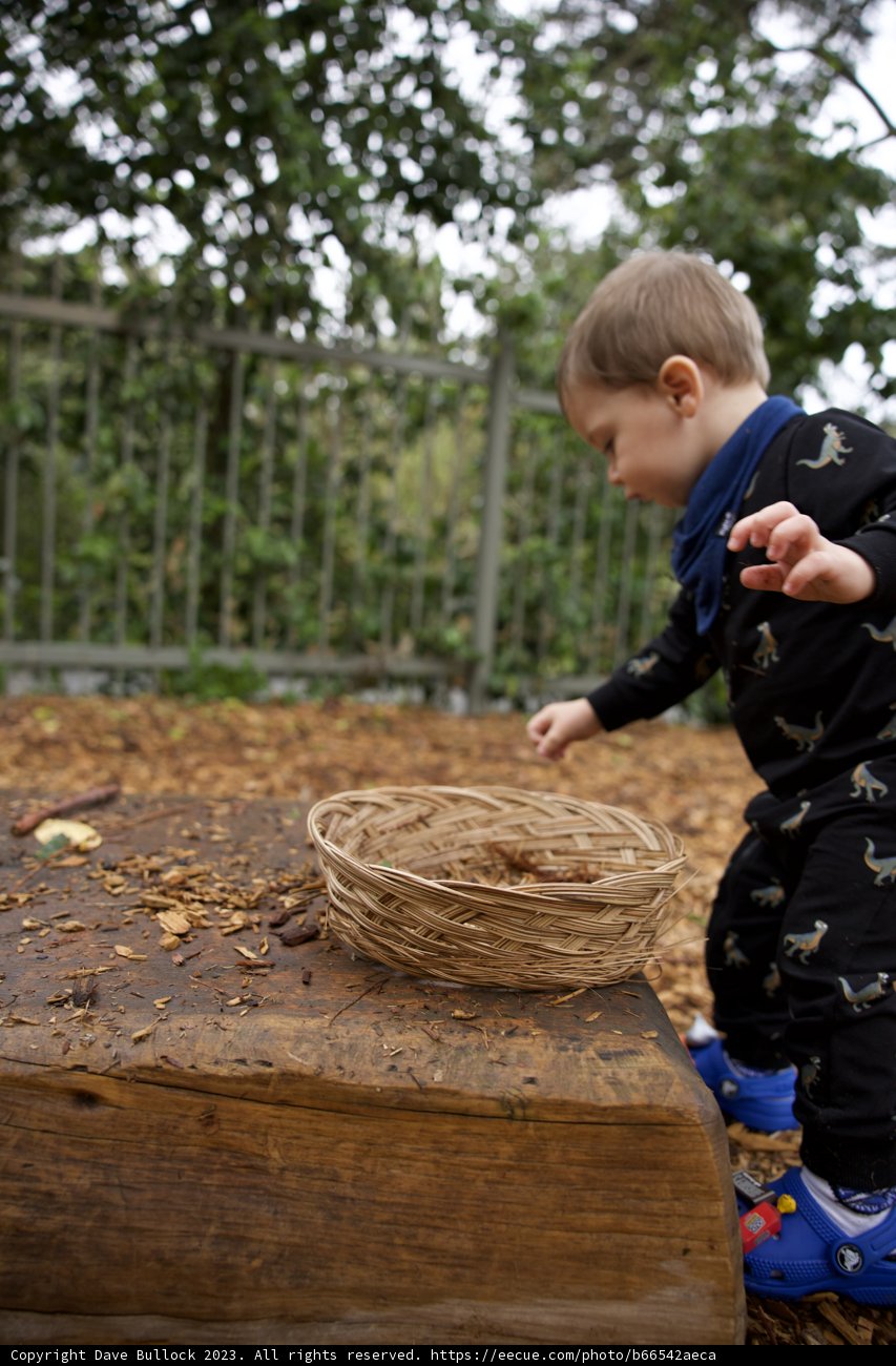Autumn Playtime in Golden Gate Park