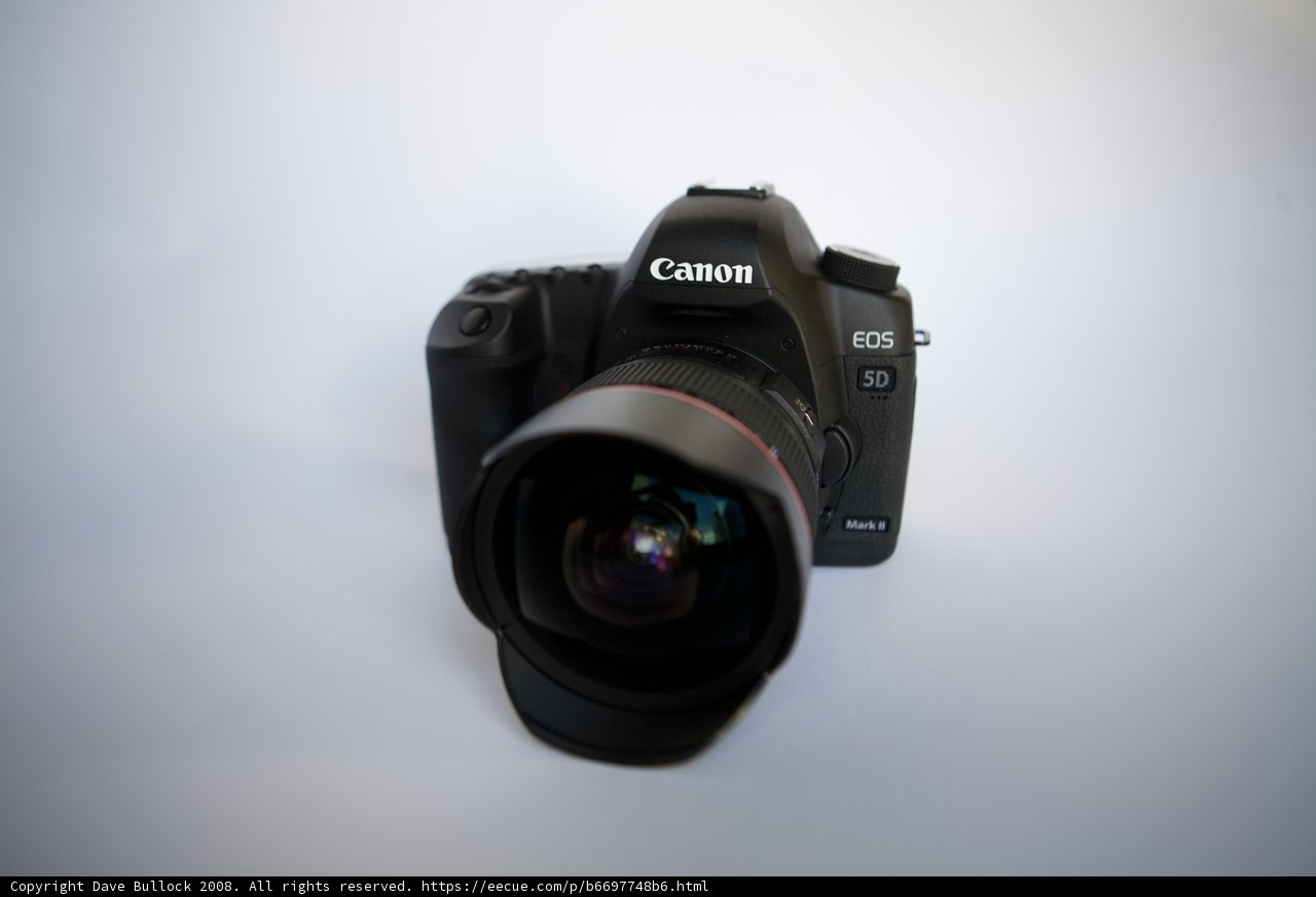 Canon EOS 5D Mark II in Action