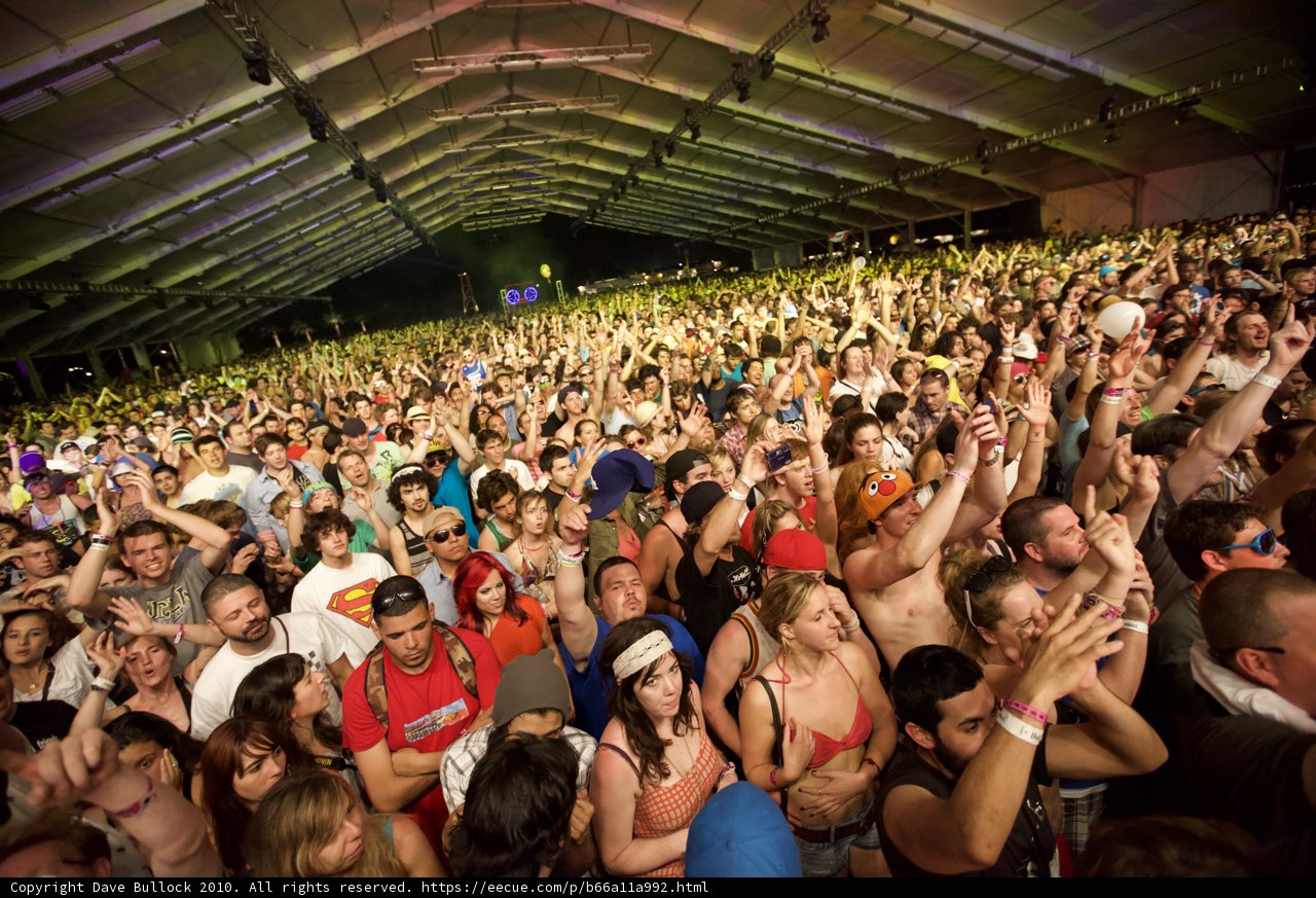 Coachella Music Festival Crowd
