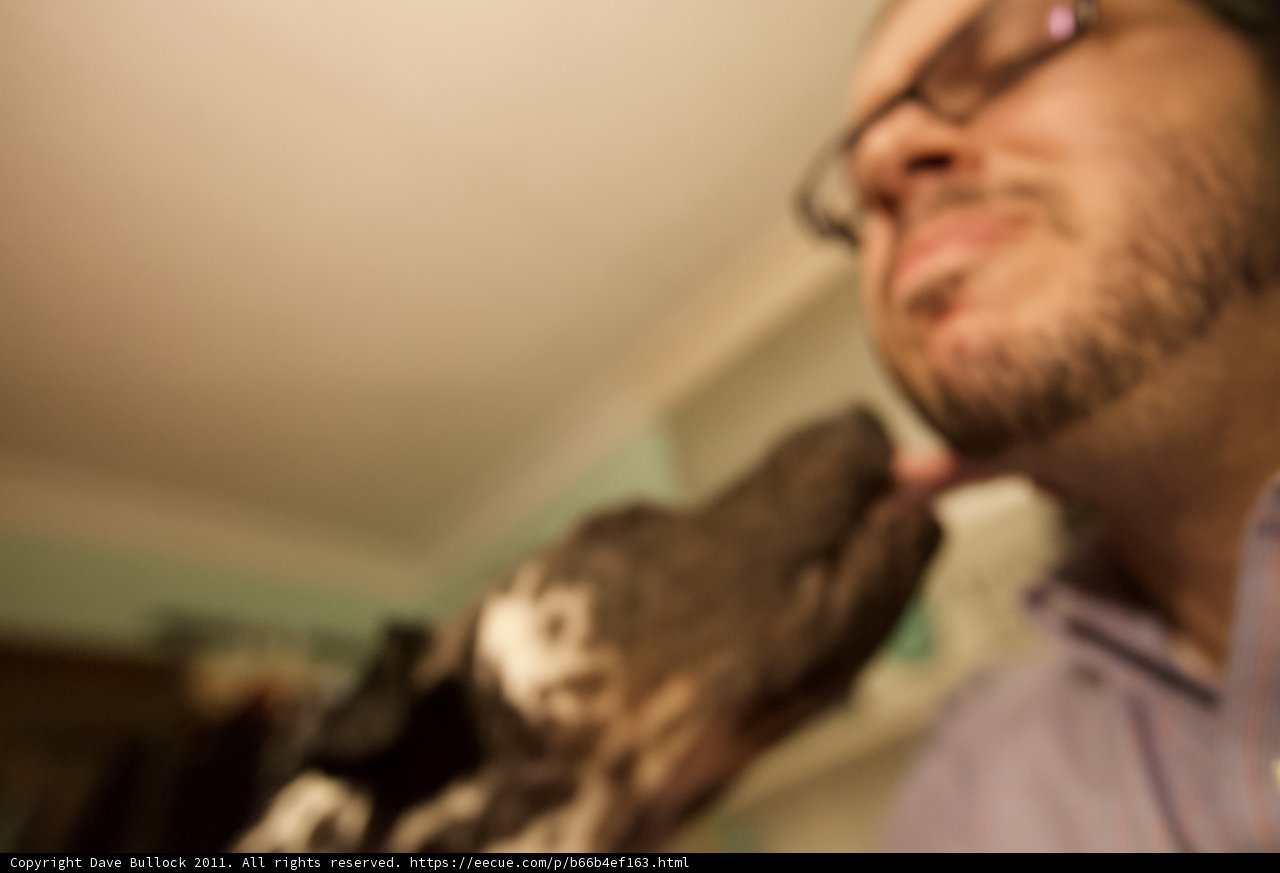 The Bearded Optician