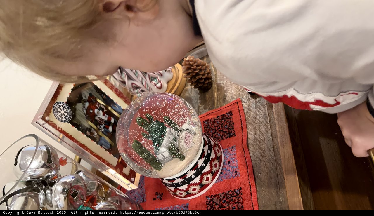 Child Mesmerized by Christmas Snow Globe Display