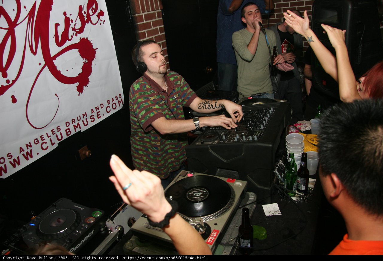 Music Entertainer Rocks the Party