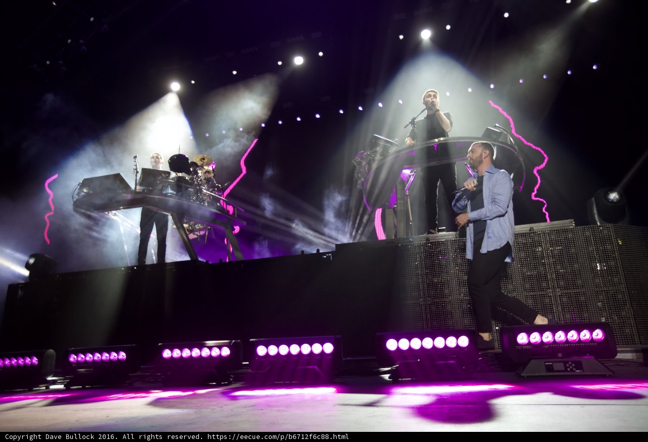 Purple Haze Performance