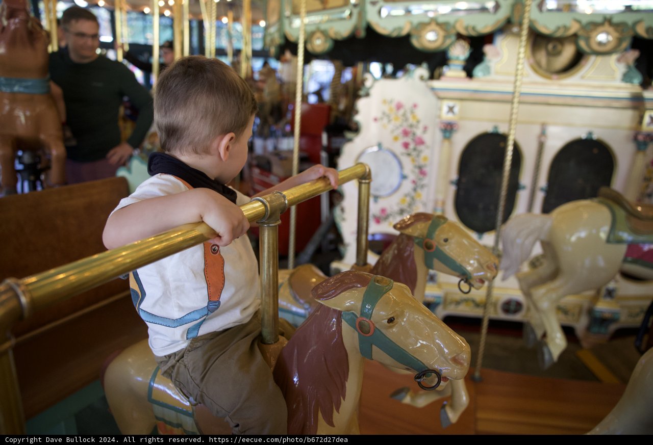 Joyful Rides at Tilden's Carousel