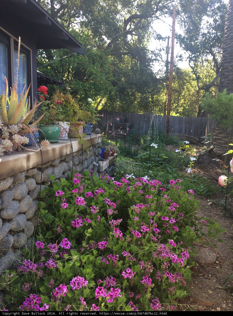 Garden Oasis