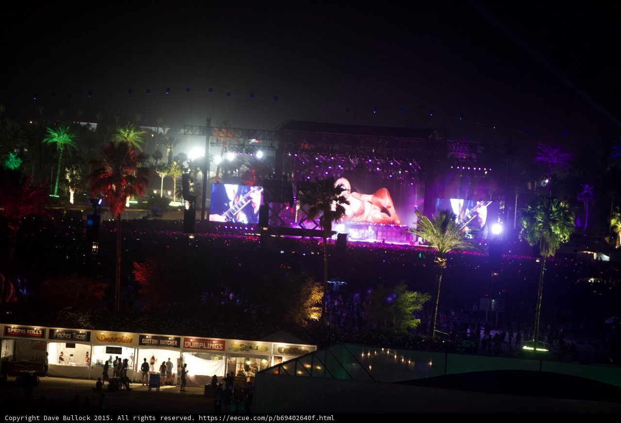 Nighttime Concert Amongst the Palms