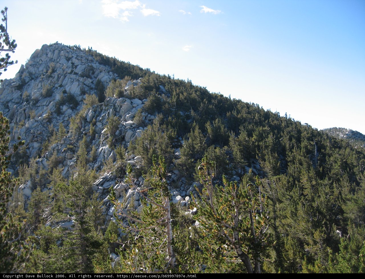 Evergreen Mountain Peak