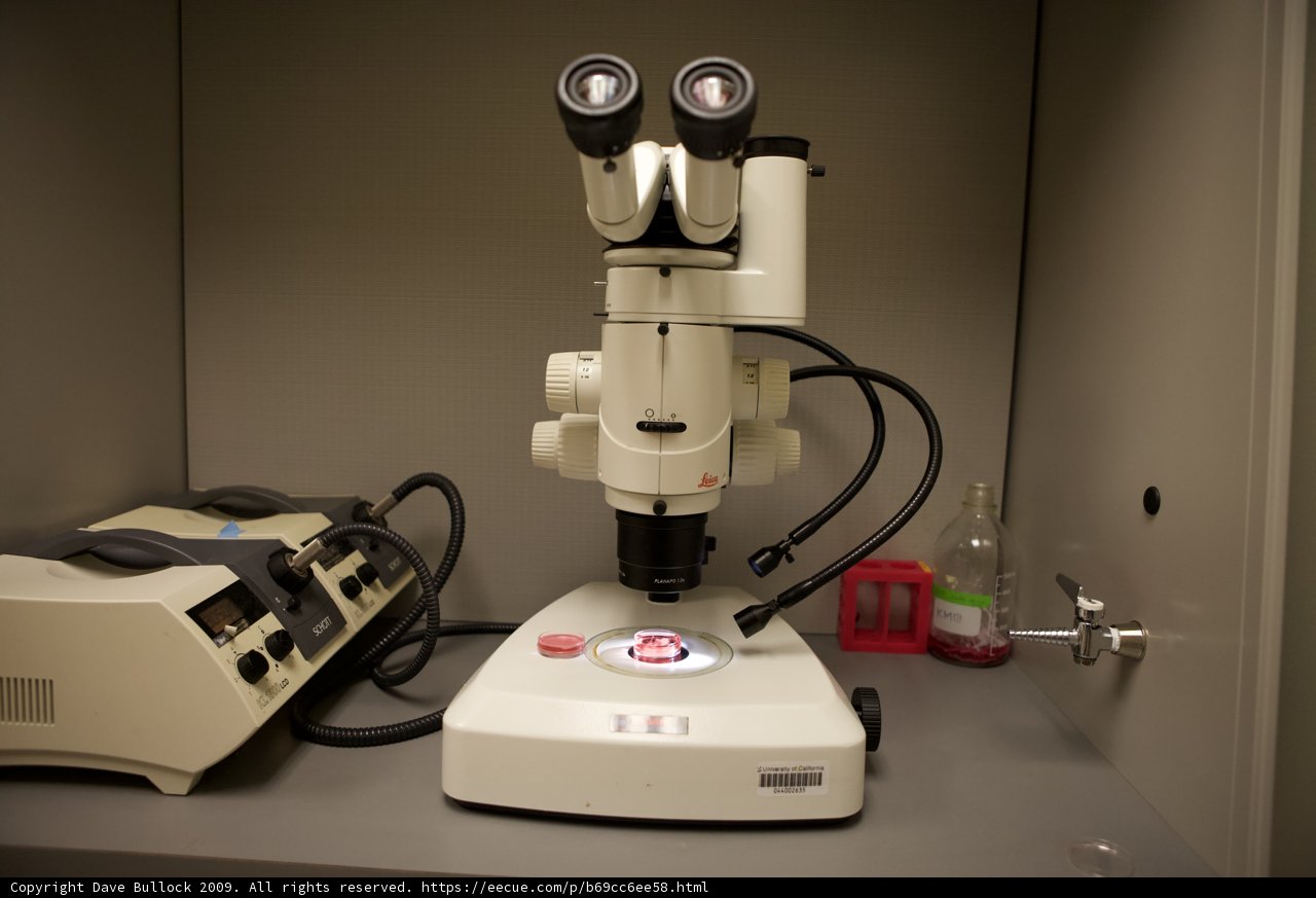 Microscopy in Action