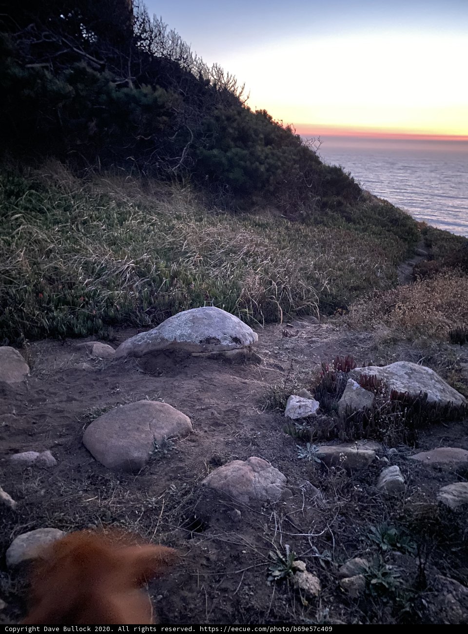 The Solitary Explorer