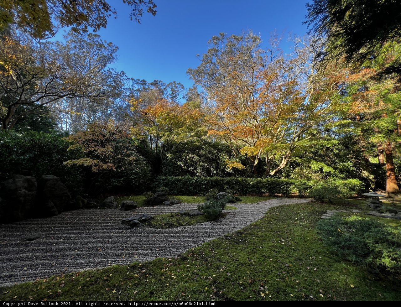 Tranquility in Golden Gate Park