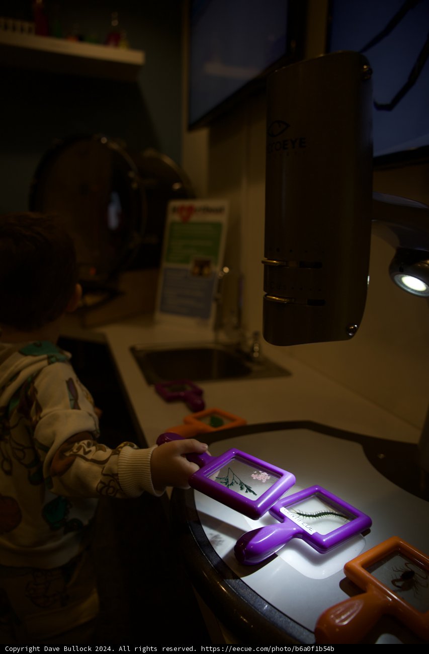 Exploring Wonders: A Child's Discovery