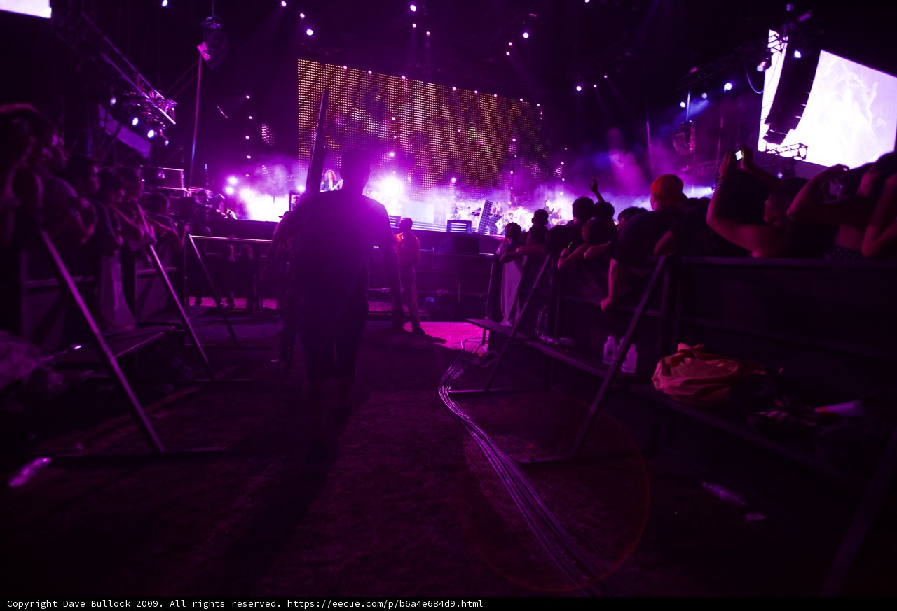 Purple Haze at Coachella