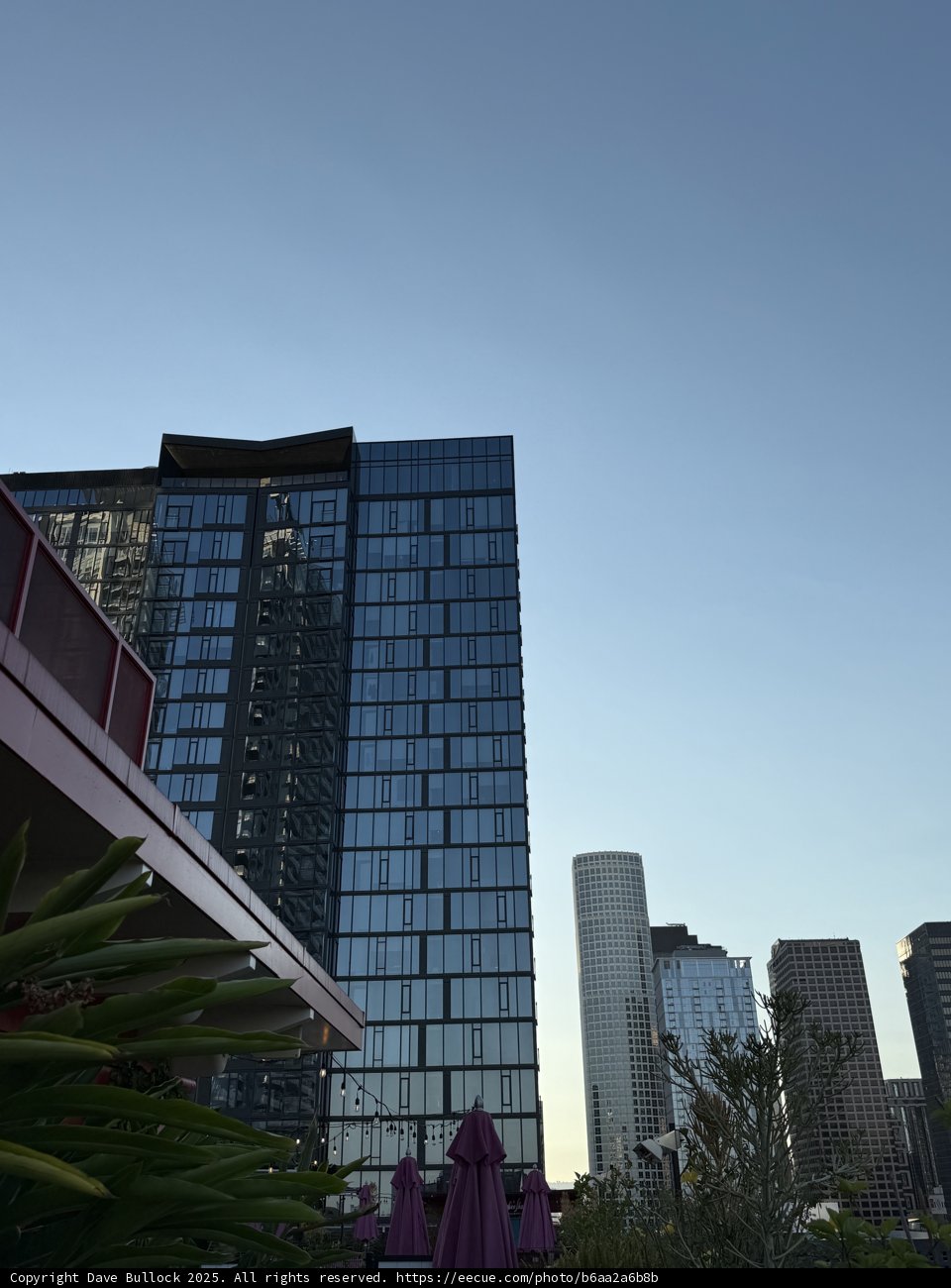 Urban Elegance in the Heart of Los Angeles