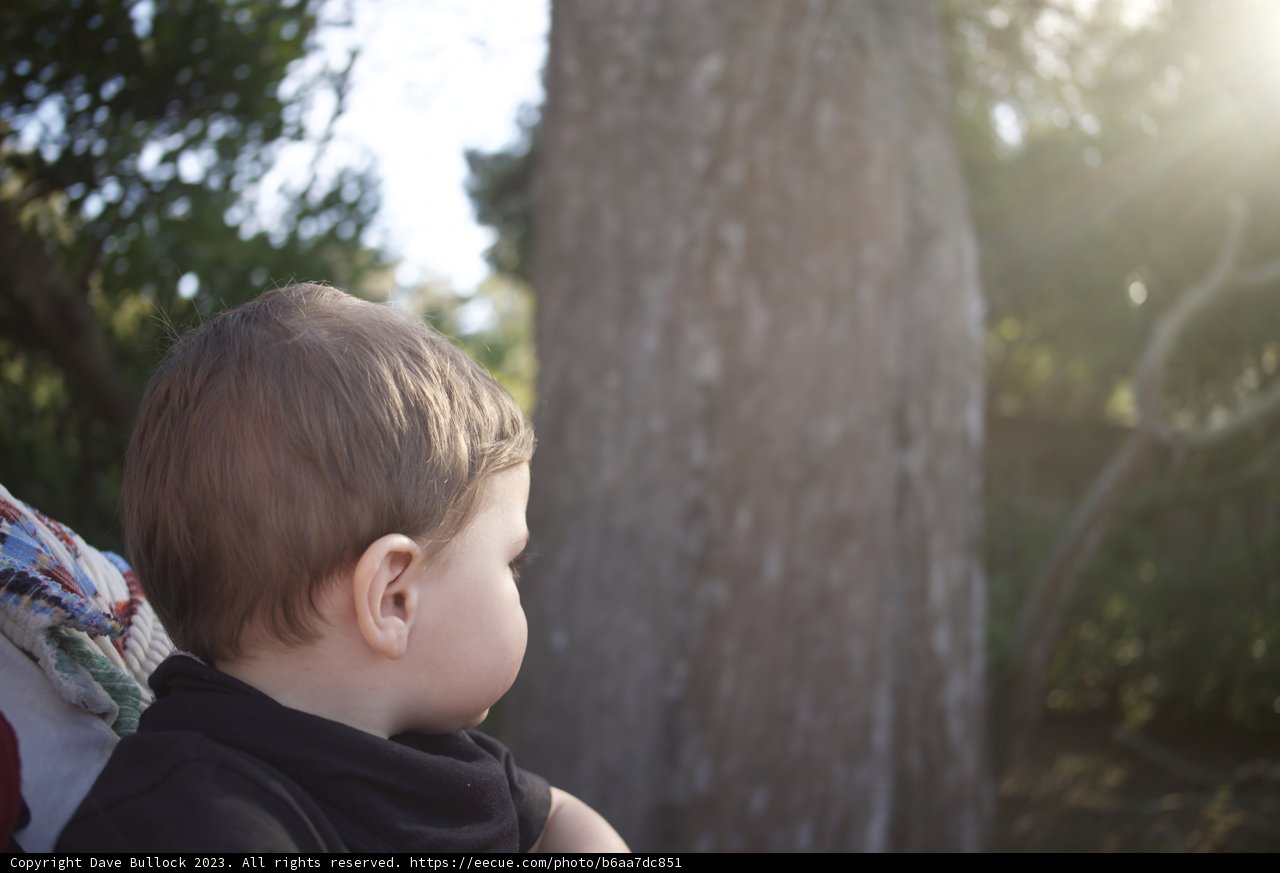Basking in the Sunshine: A Special Day at the SF Zoo